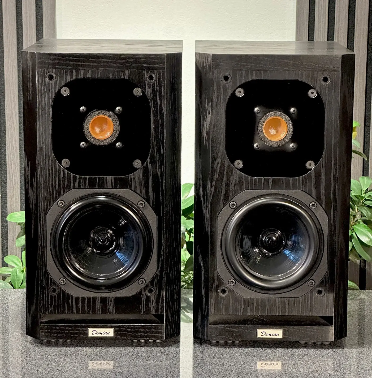 Acustik-Lab Model Demian — Ansicht 3