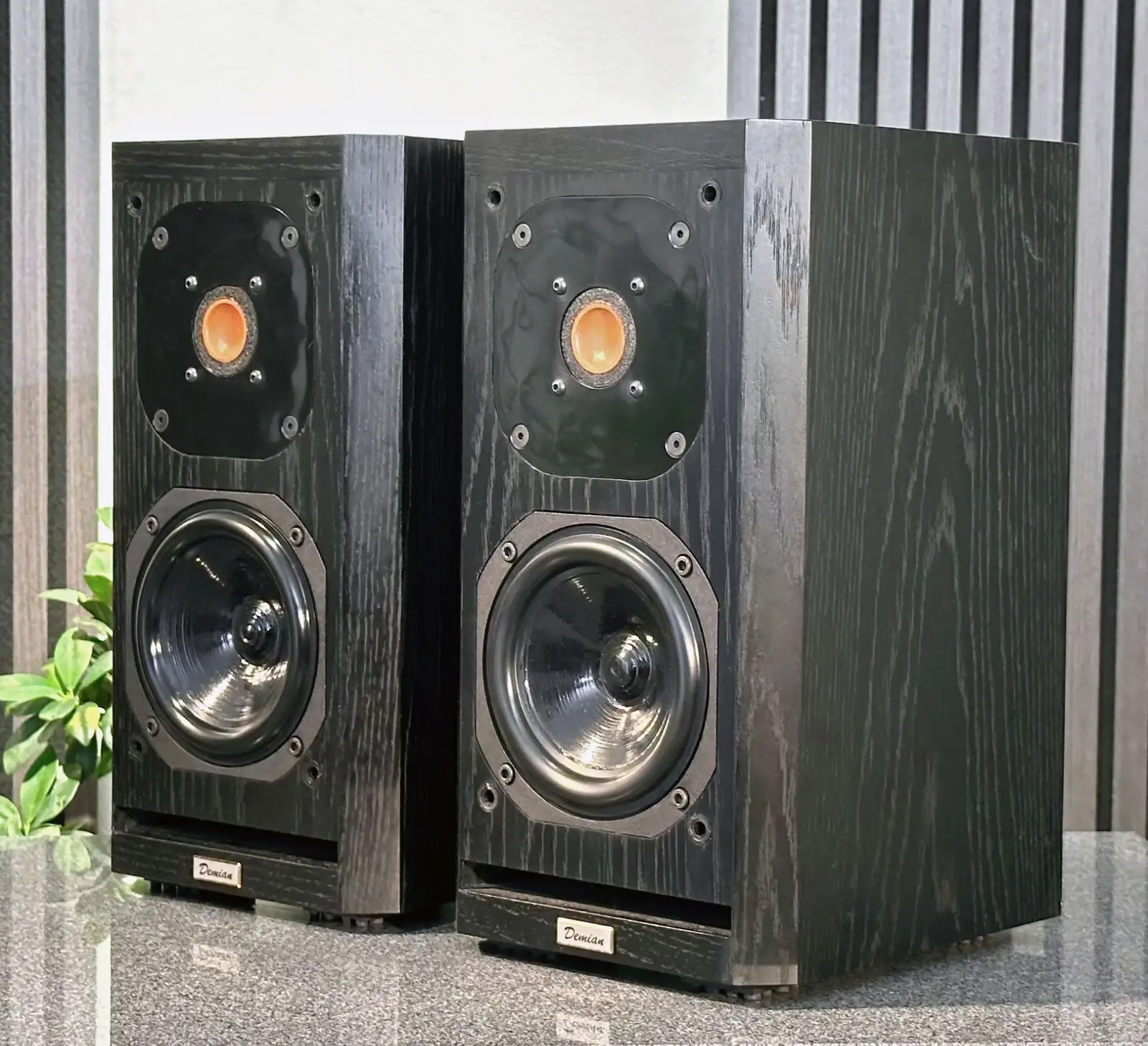Acustik-Lab Model Demian — Ansicht 4