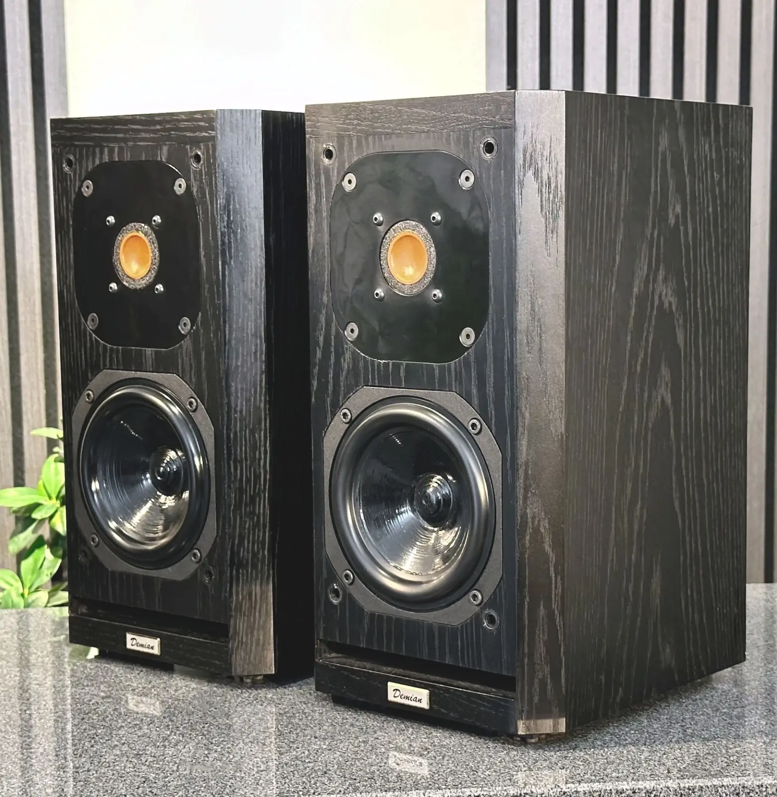 Acustik-Lab Model Demian — Ansicht 7