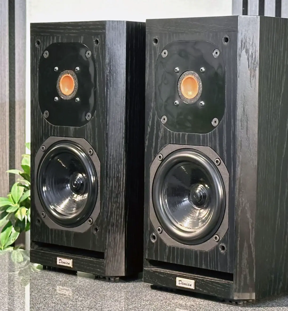 Acustik-Lab Model Demian — Ansicht 8
