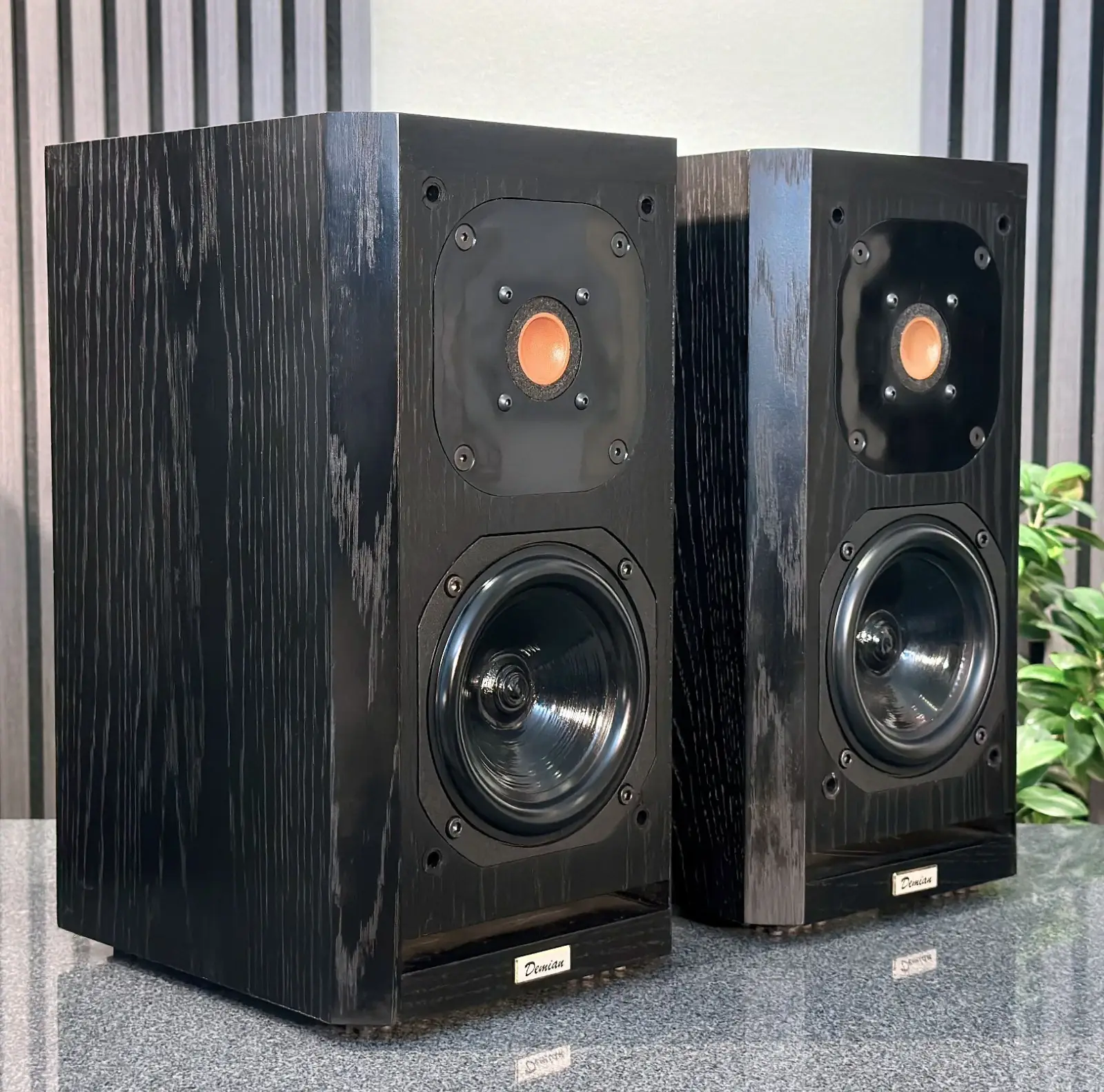 Acustik-Lab Model Demian — Ansicht 9