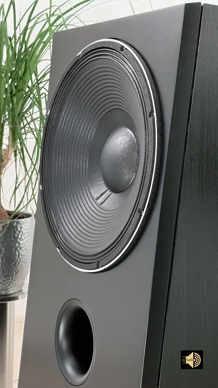 Audiophil Sub Contra (Esche) — Ansicht 4