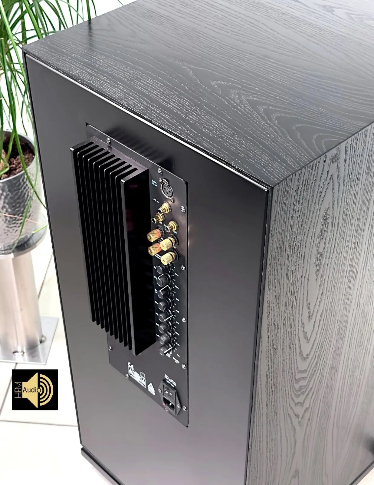 Audiophil Sub Contra (Esche) — Ansicht 6