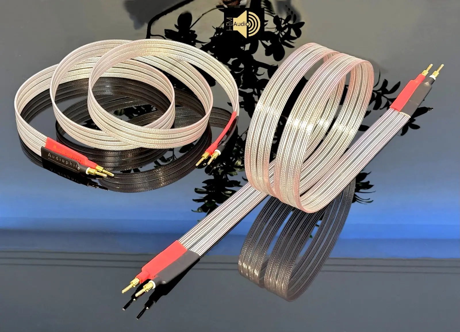 Audiophile FS-1