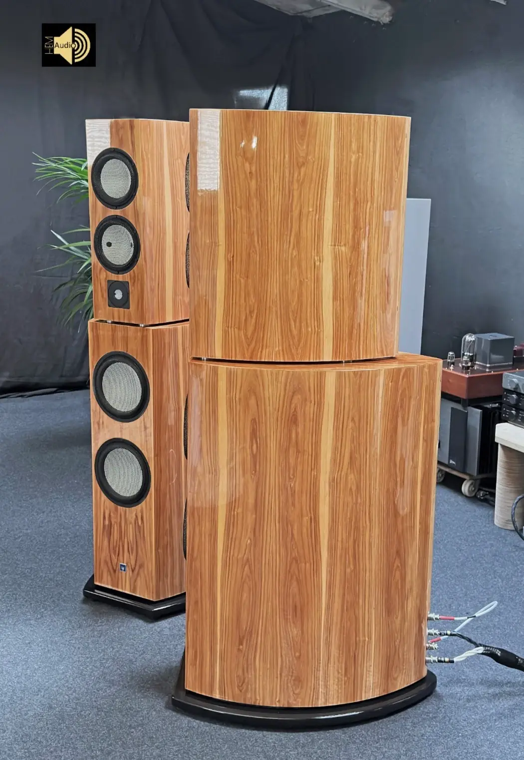 Consensus Passion — Ansicht 10