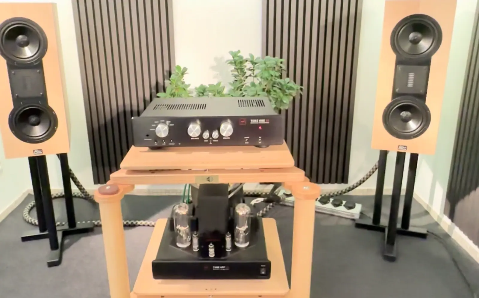 MFE Tube AMP SE Reference 845