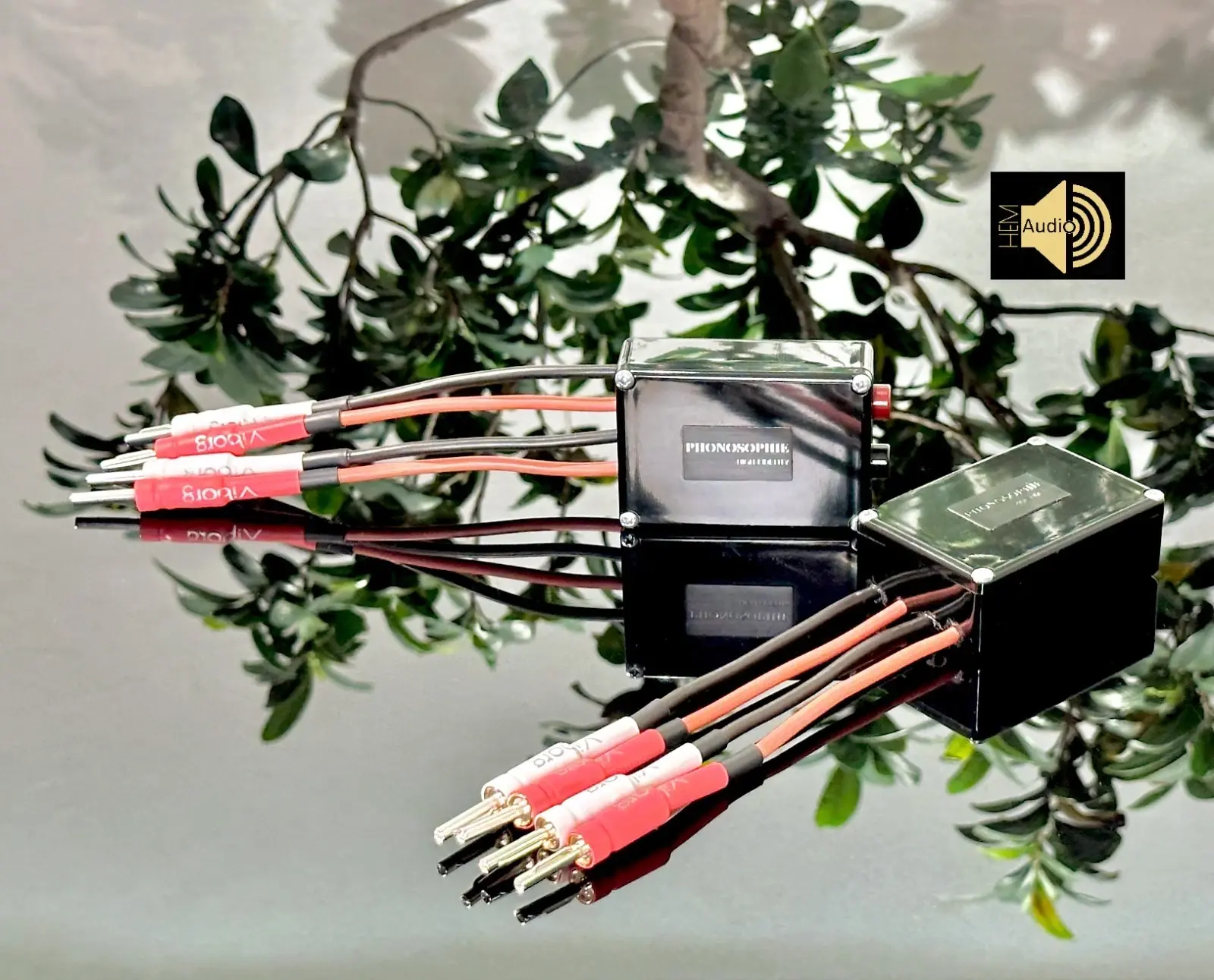 Phonosophie Bi-Amping-Adapter