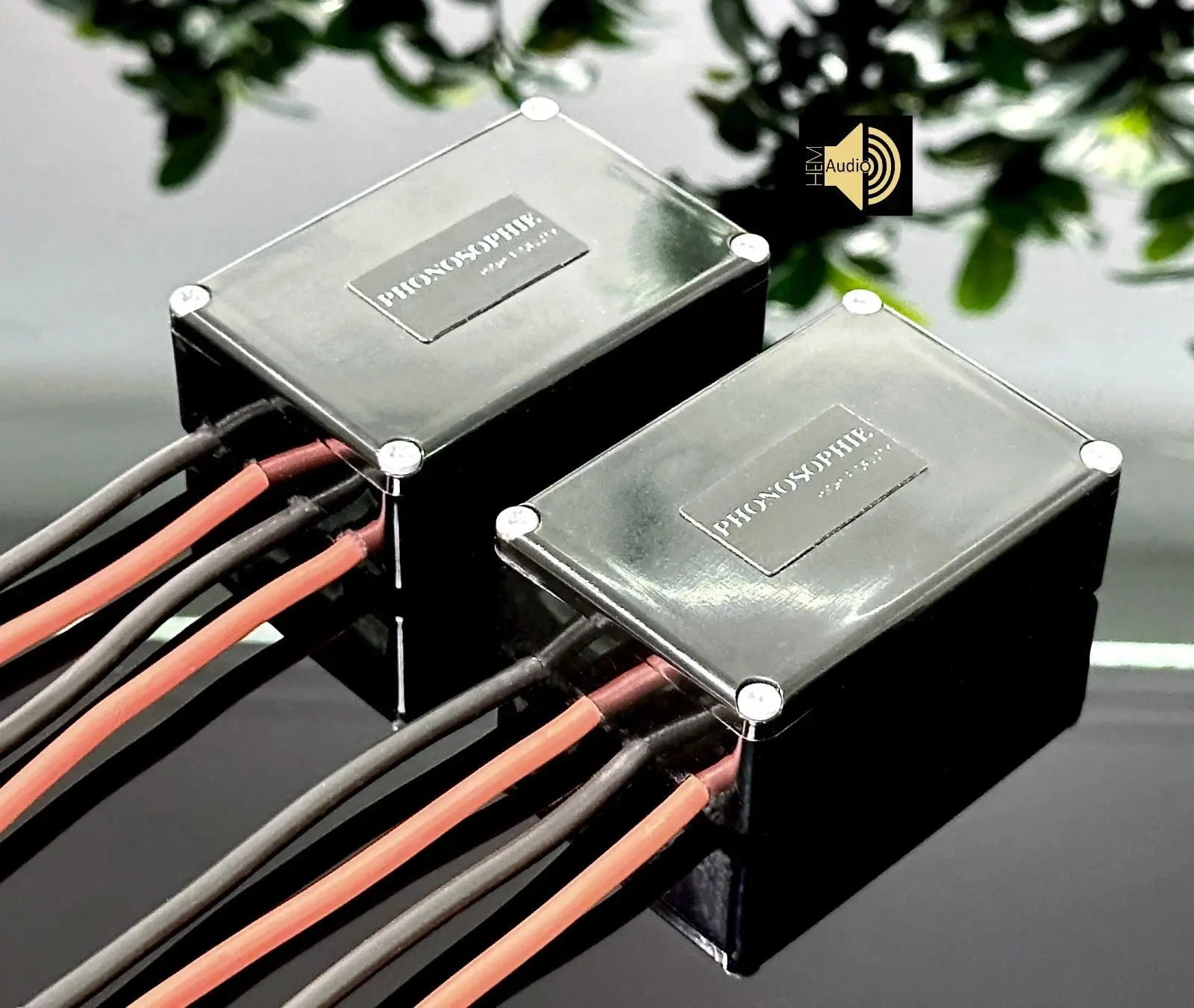 Phonosophie Bi-Amping-Adapter — Ansicht 3