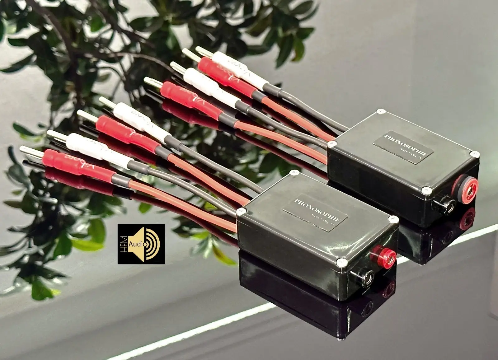 Phonosophie Bi-Amping-Adapter — Ansicht 4