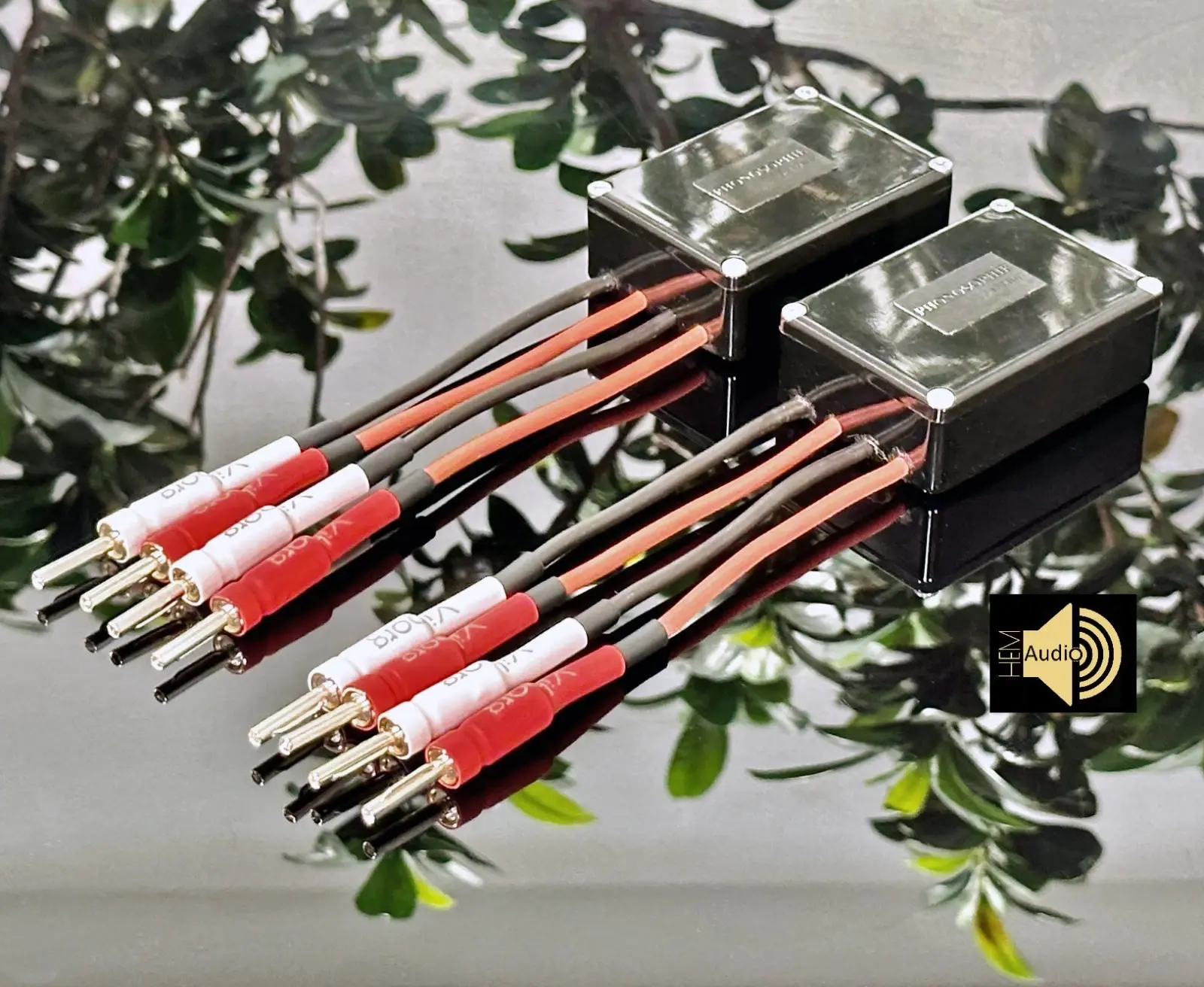 Phonosophie Bi-Amping-Adapter — Ansicht 8