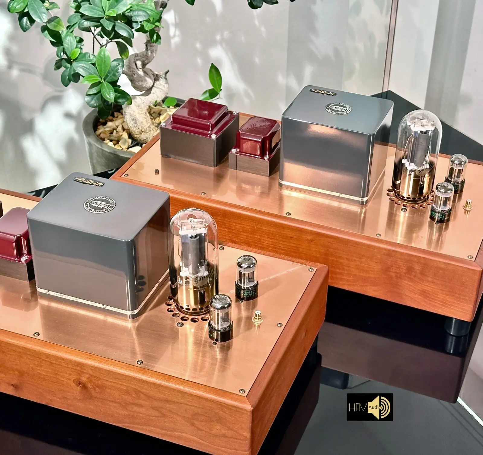 Sakuma SUN 211-T — Ansicht 6