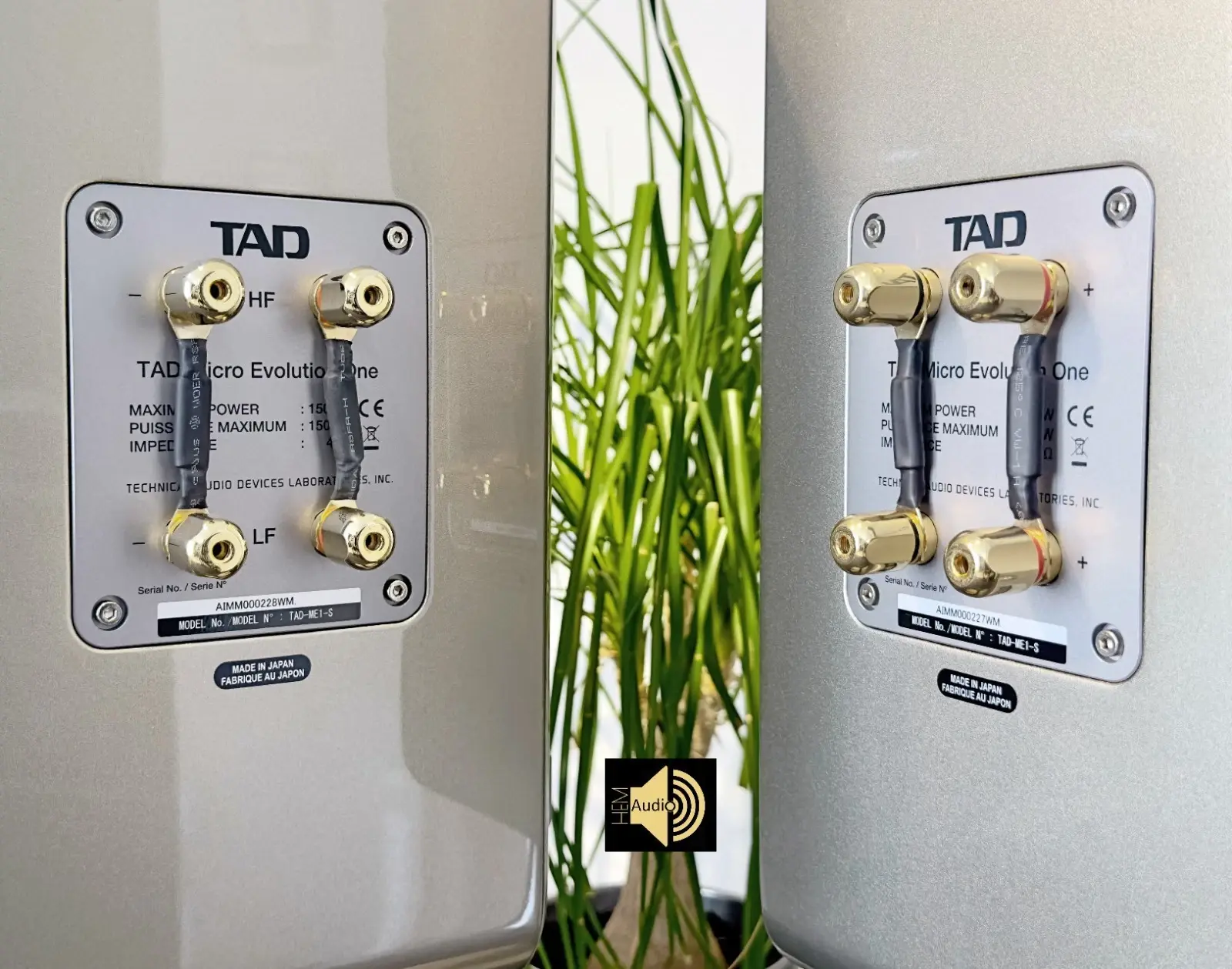 TAD Micro Evolution One ME-1S — Ansicht 7