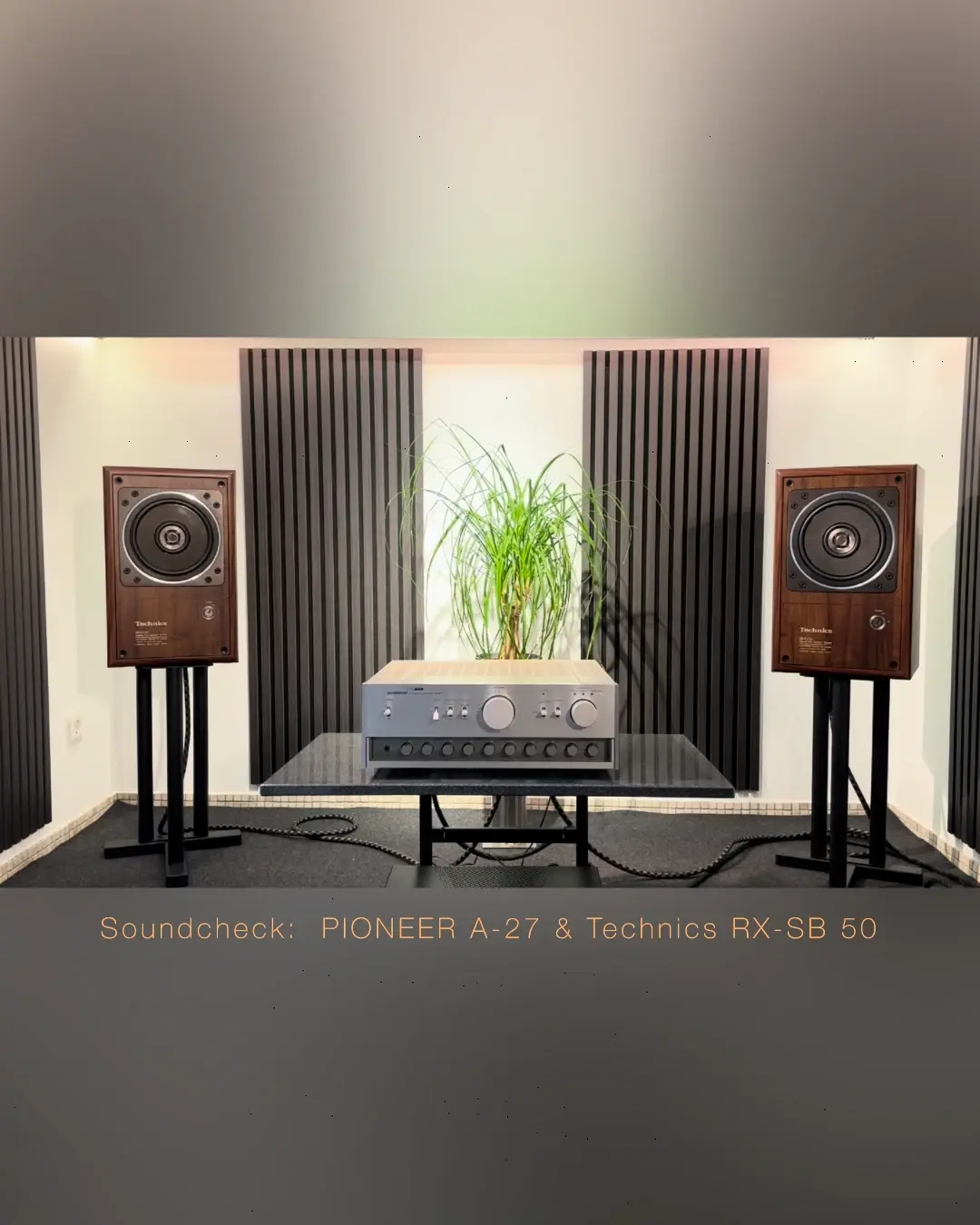 Technics SB-RX 50
