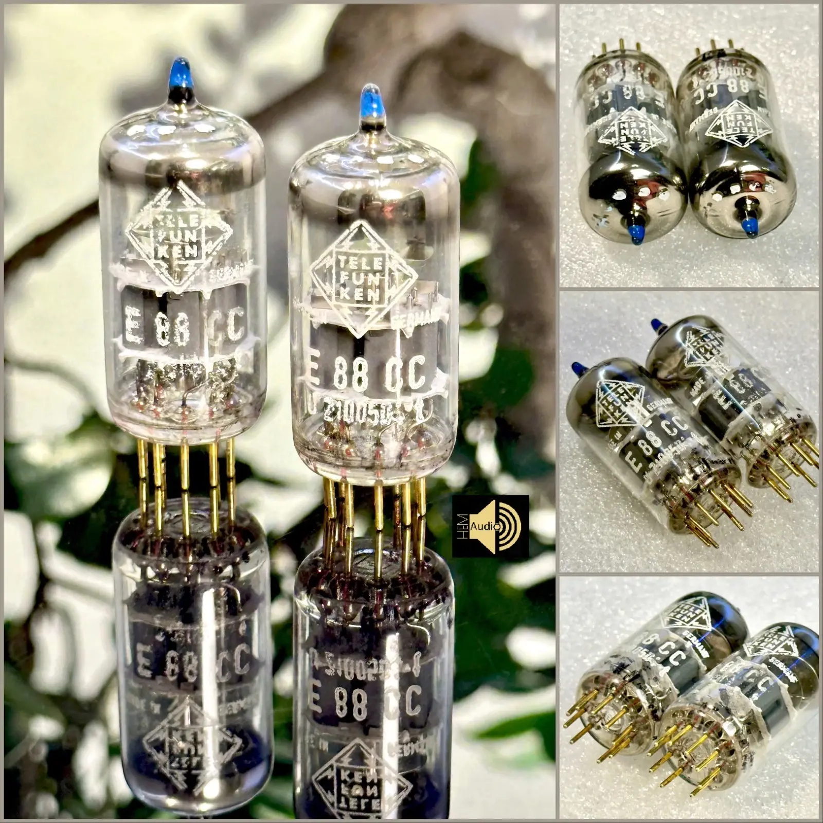 Telefunken E 88CC Gold Pin — Ansicht 6