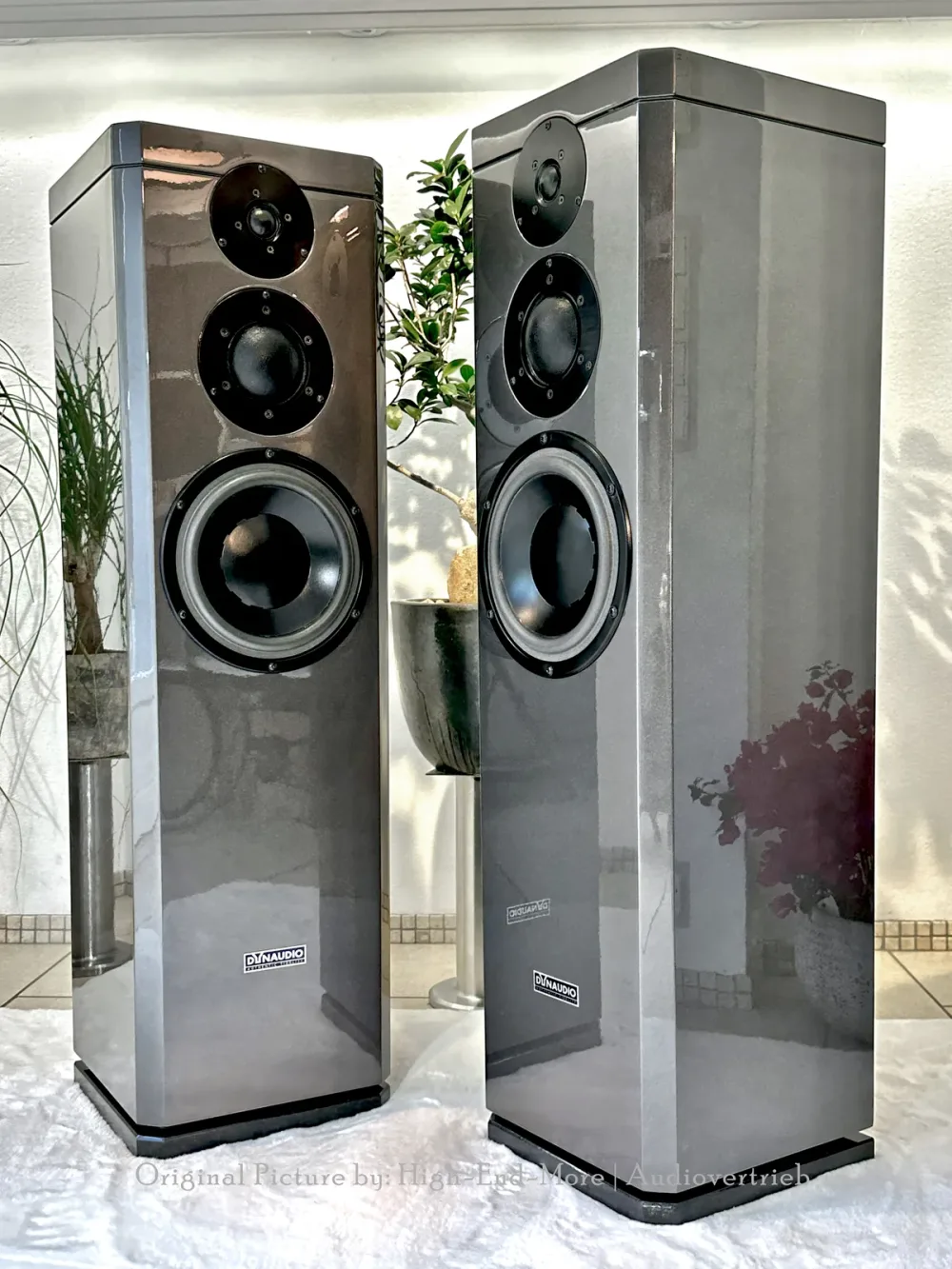 Dynaudio Xennon 3/100 (1/5)