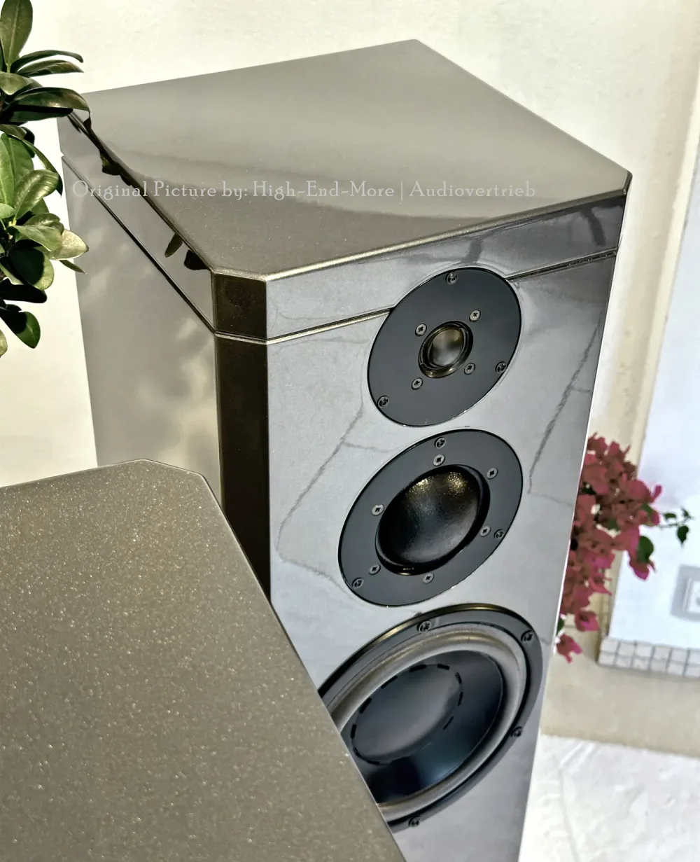 Dynaudio Xennon 3/100 (2/5)