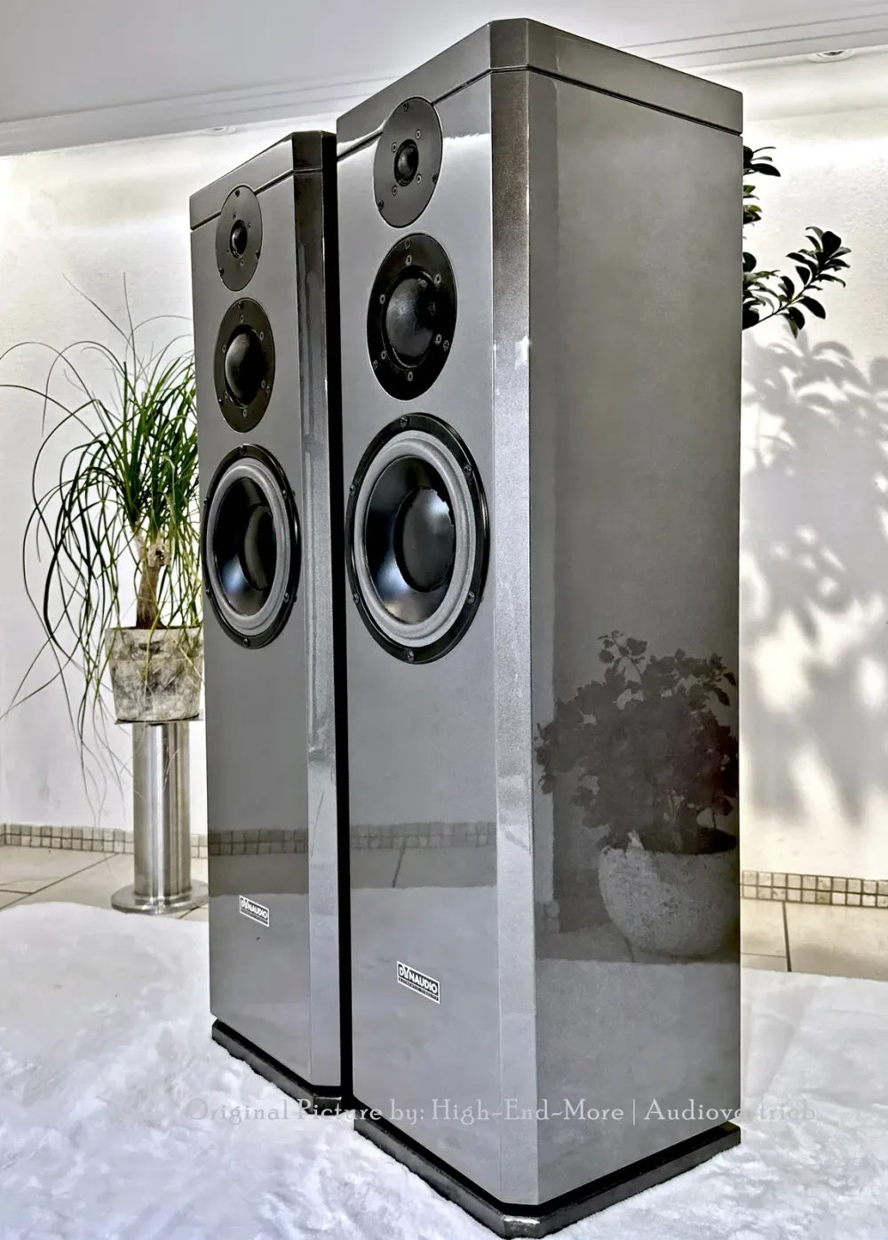 Dynaudio Xennon 3/100 (3/5)