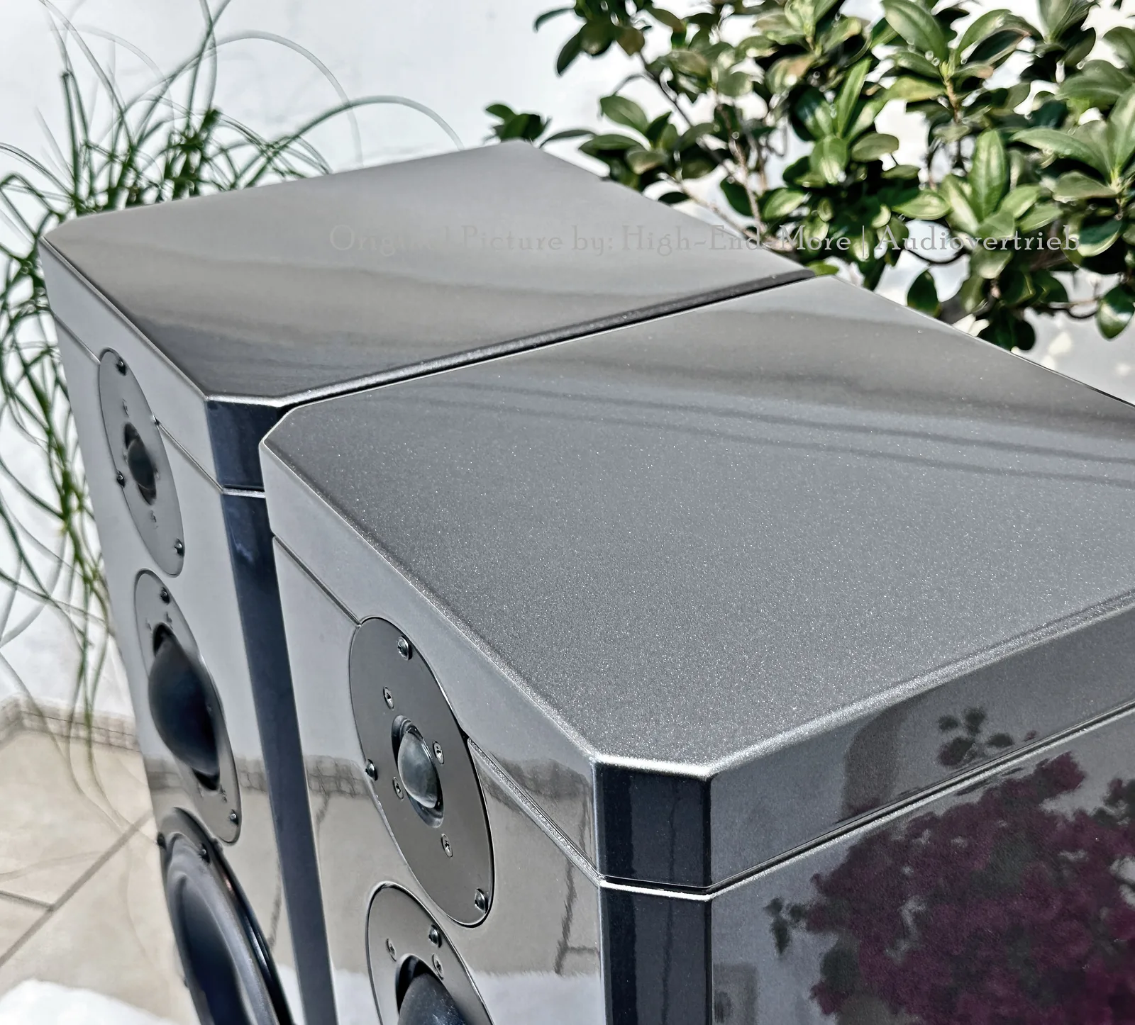 Dynaudio Xennon 3/100 (5/5)
